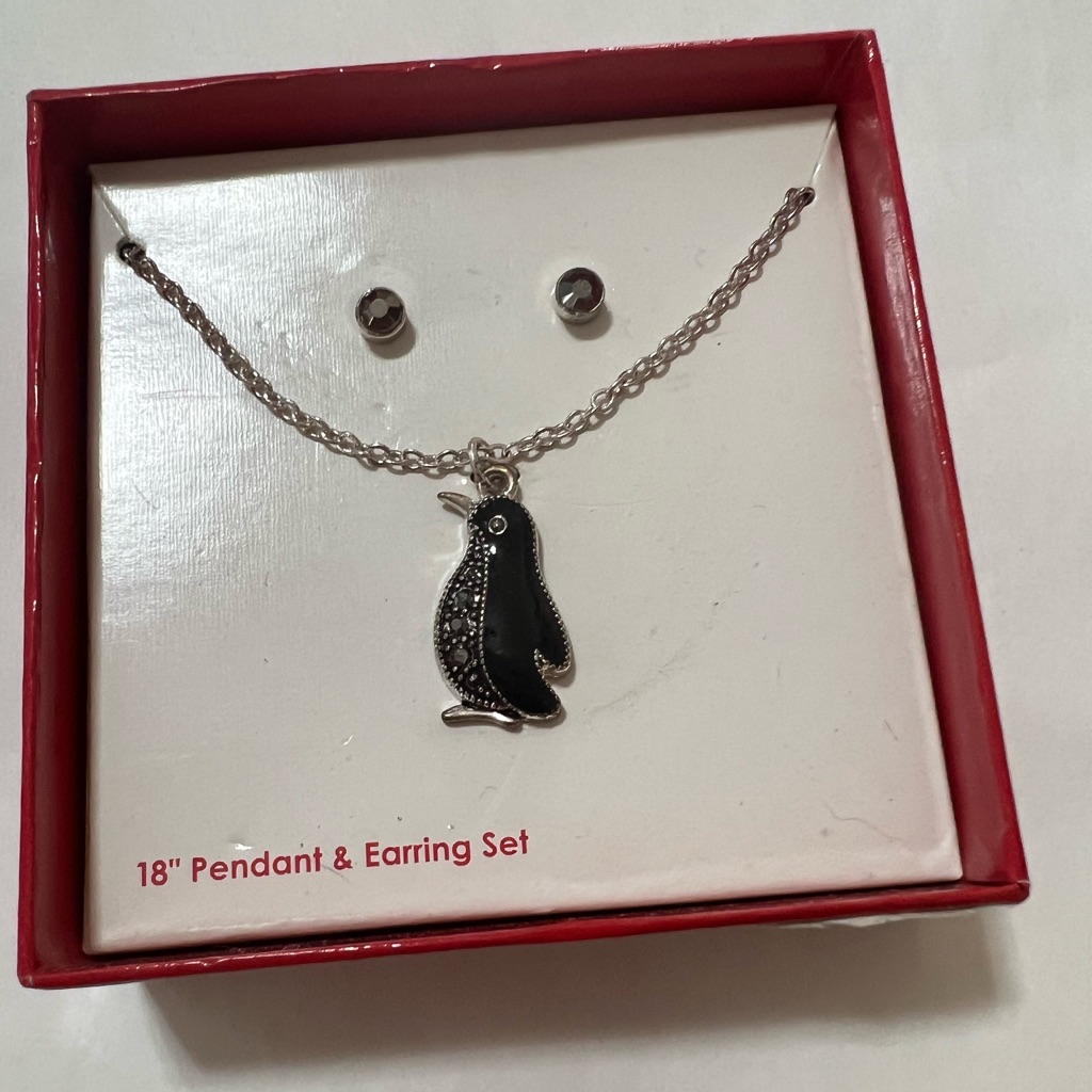 Beautiful Silver Tone Set Of Earring And Necklace